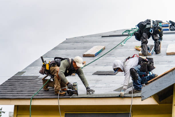 Professional Gutter Installation technician working in Davis Junction, IL